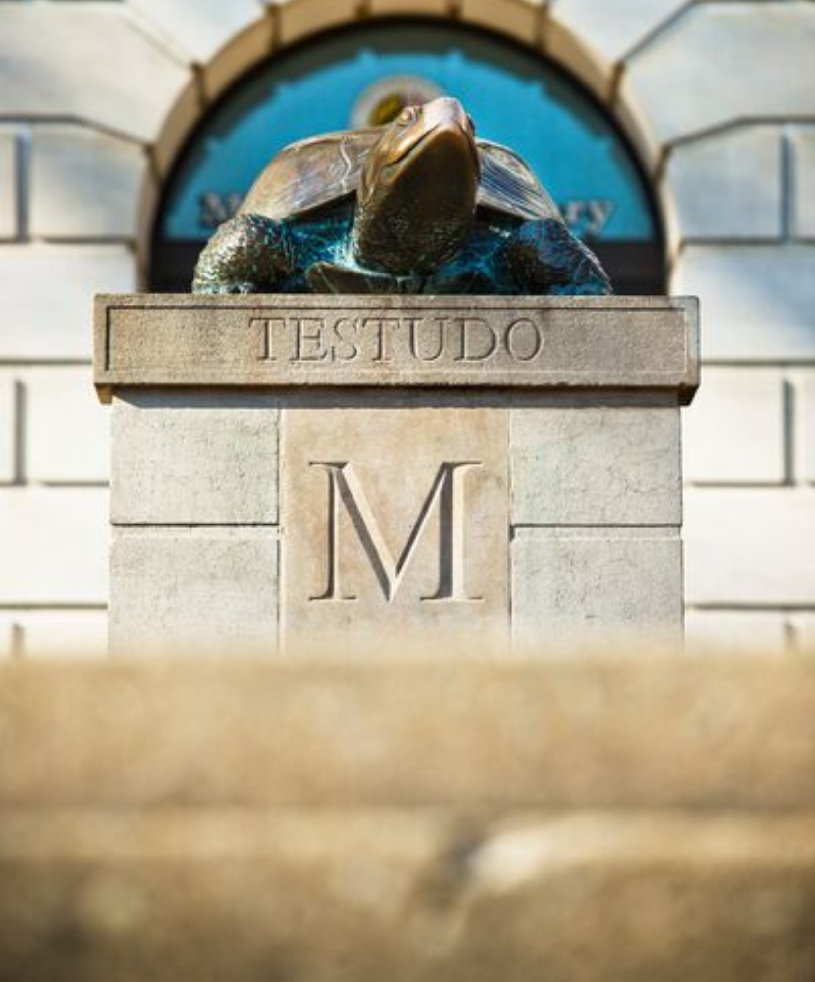 testudo statue